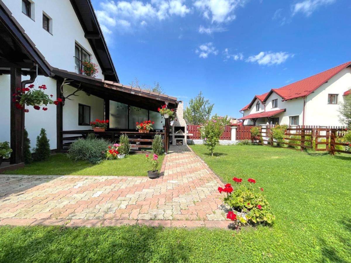 Vila Rolizo Брашов Екстериор снимка